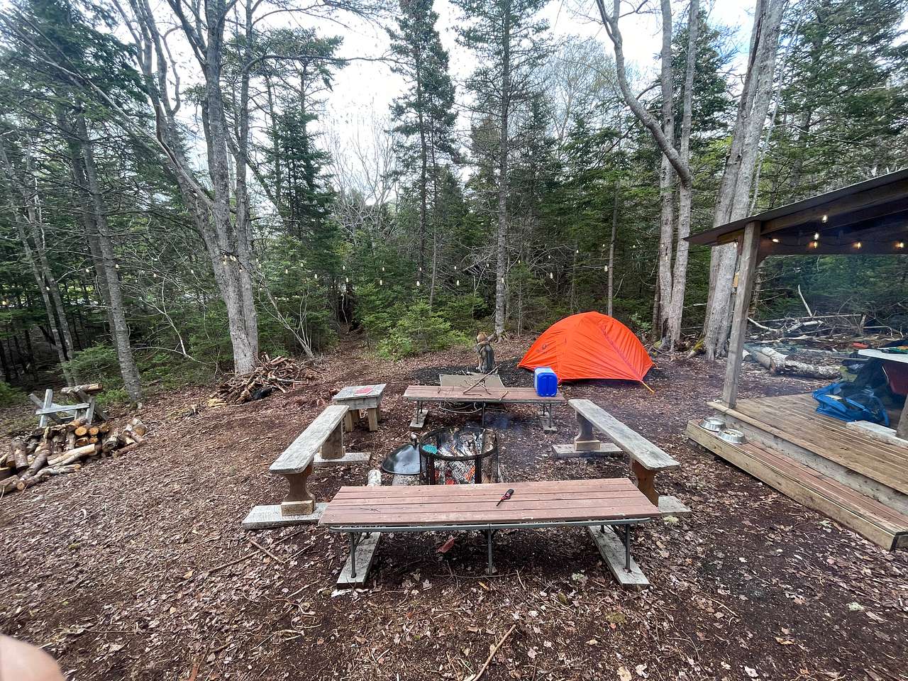 Picture of the site
