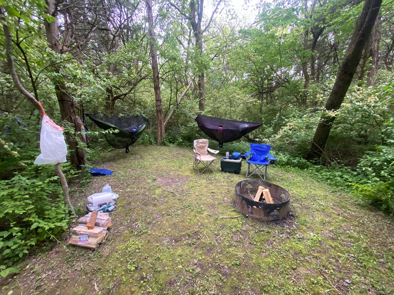 Picture of the site
