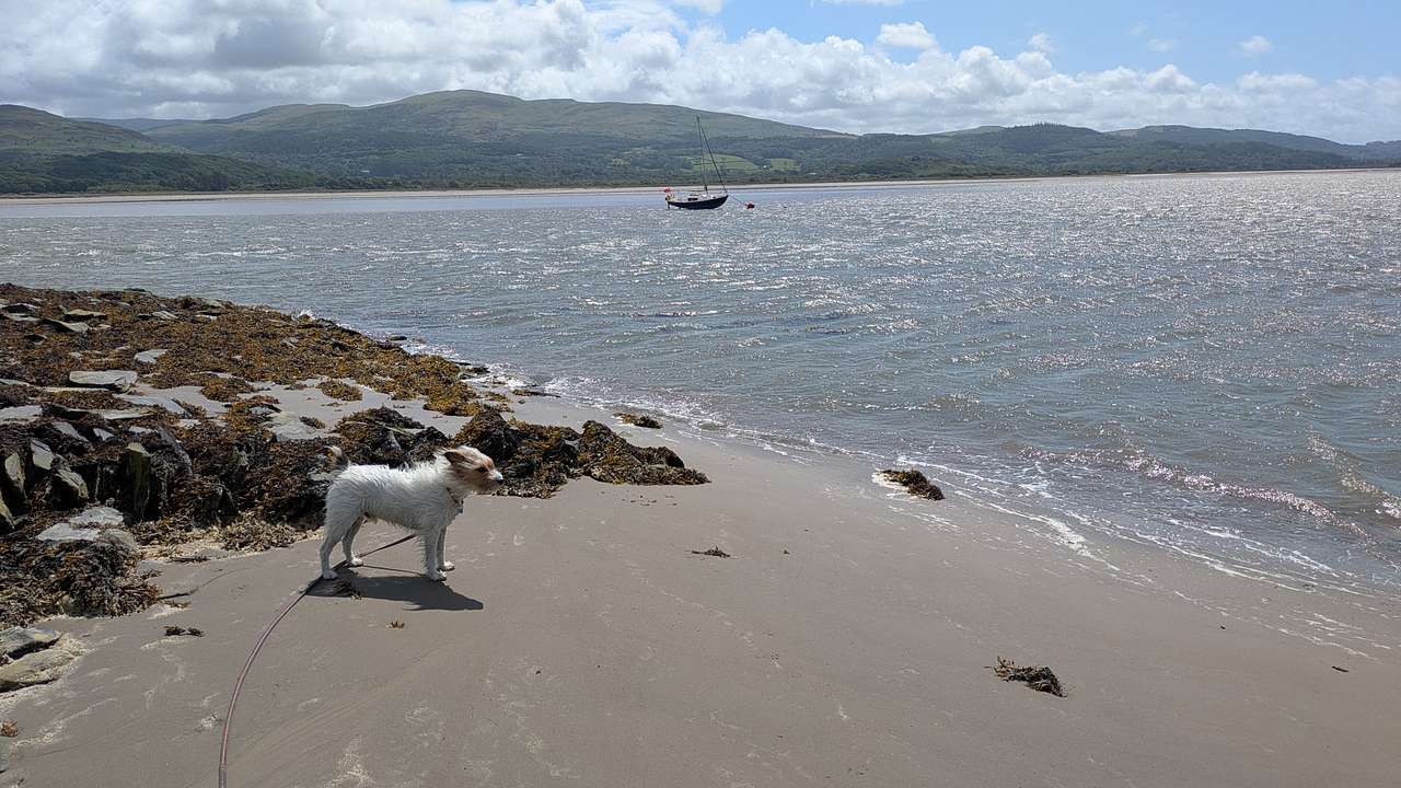 Beach area