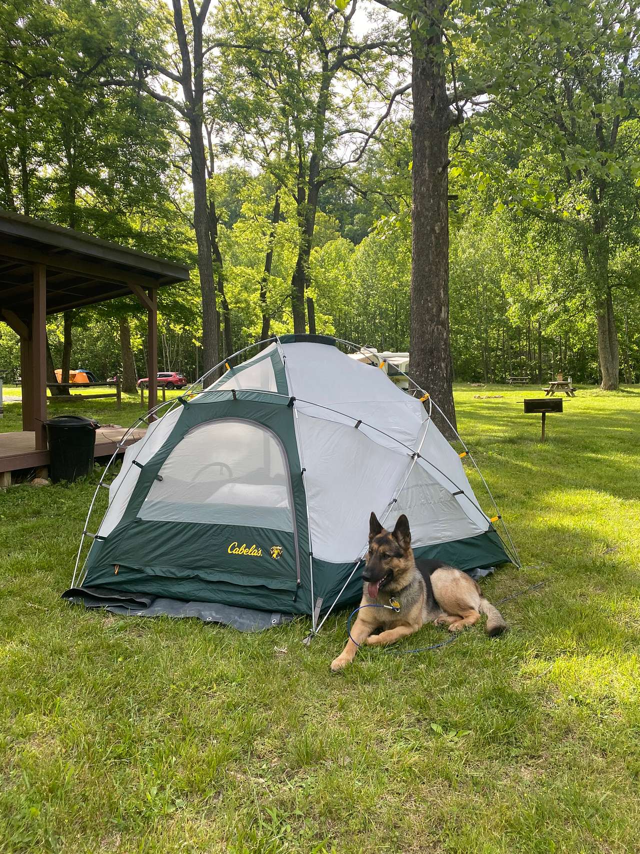 Swedish Lilac Campground & Events