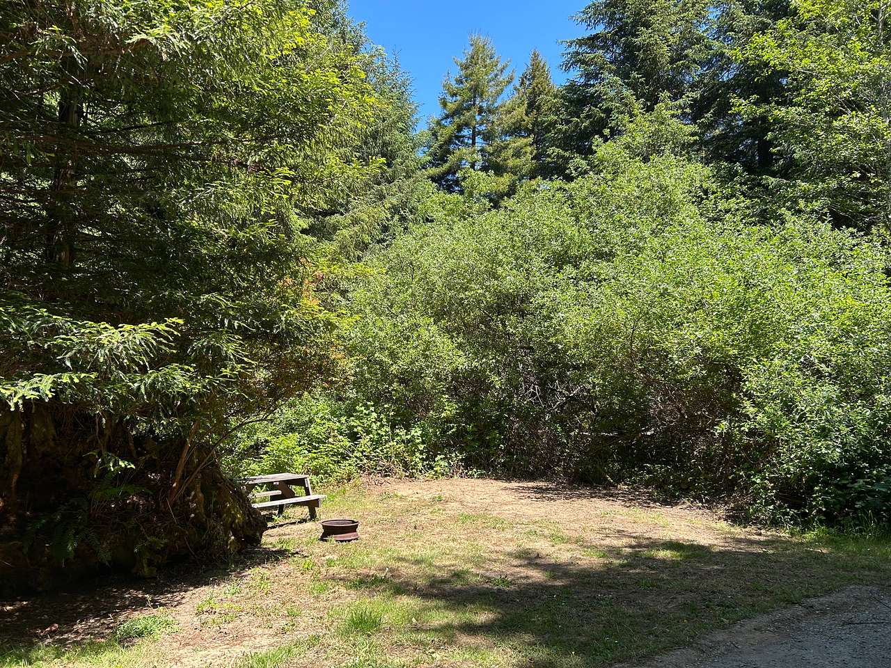 Mystic Forest Campground