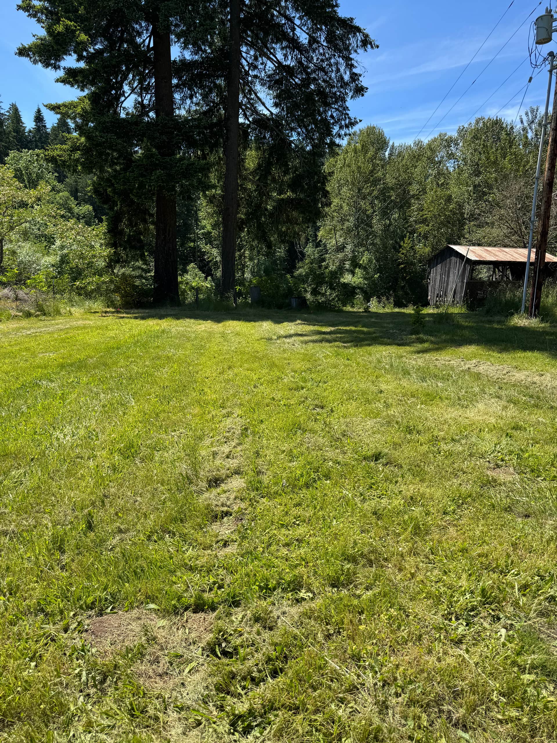 This is the Riverside Meadow.  Lots of room for groups here.  It's about the size of a football field.  If your group has Riverside RV and wants to add tents, you'll be in this area.
