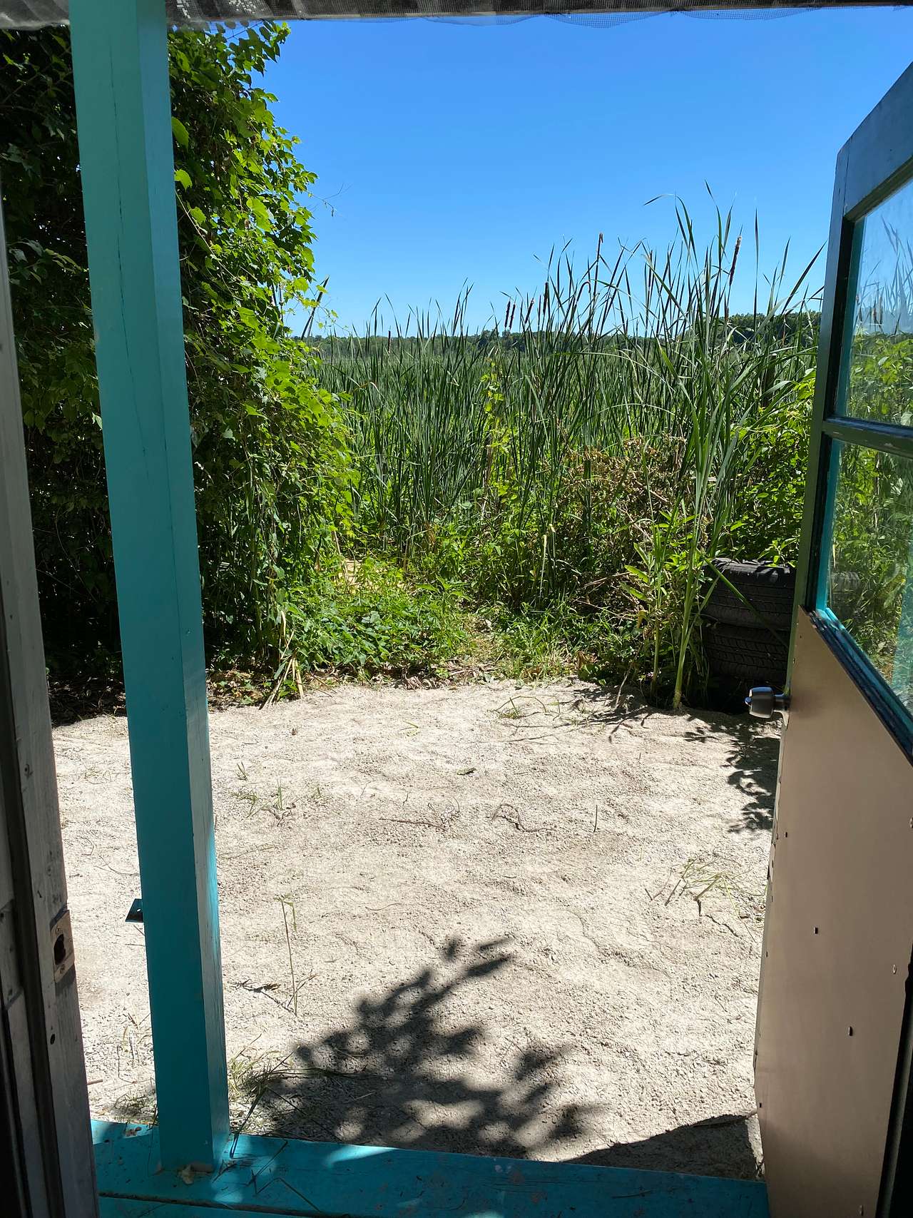 Picture of the site