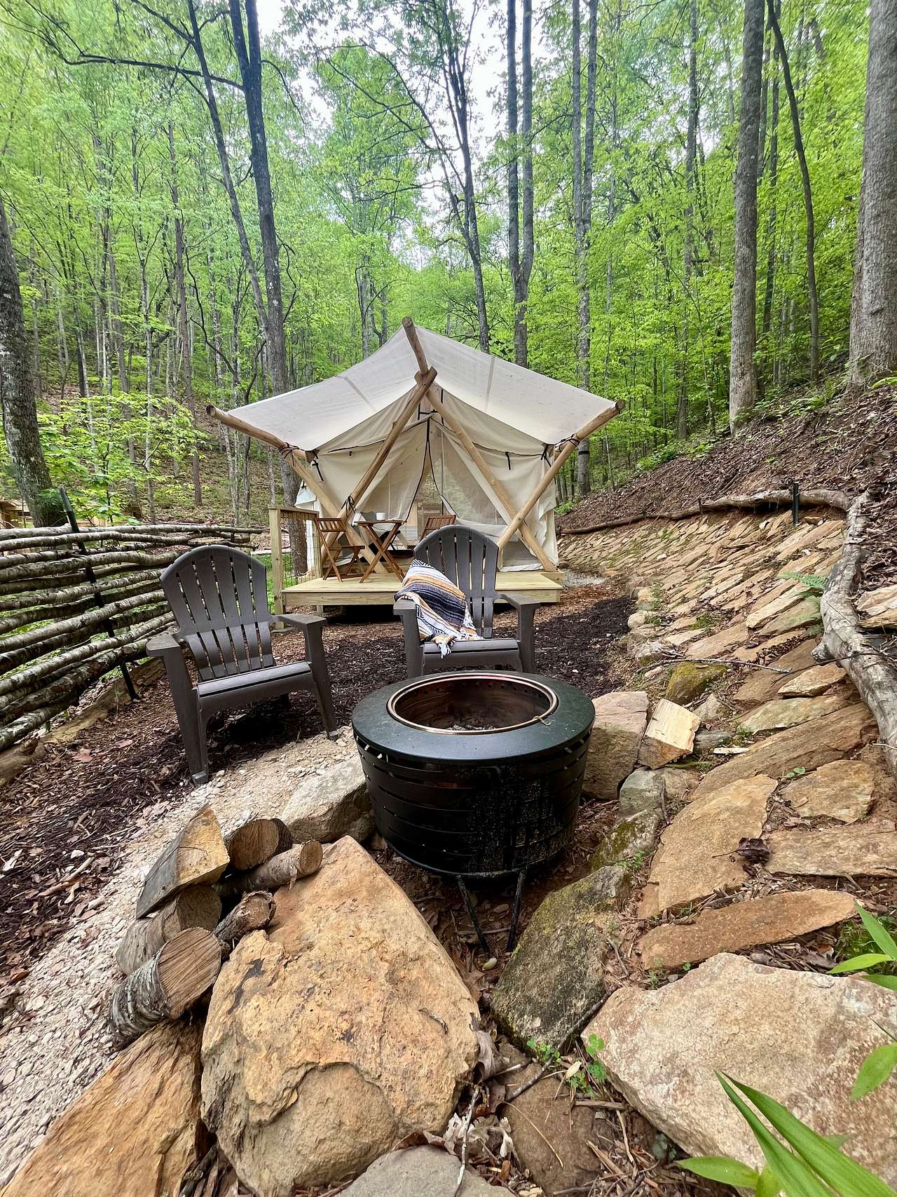 Picture of the site