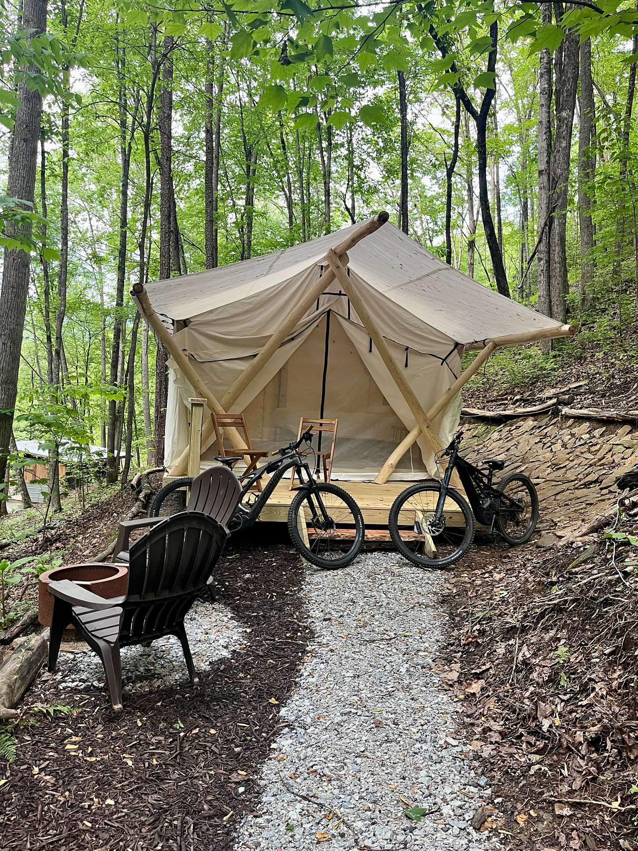 Picture of the site