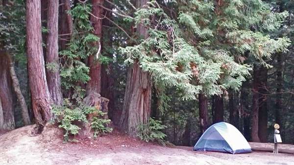 Wildwood Campground & RV Resort