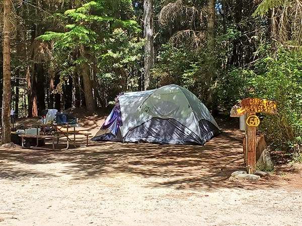 Picture of the site