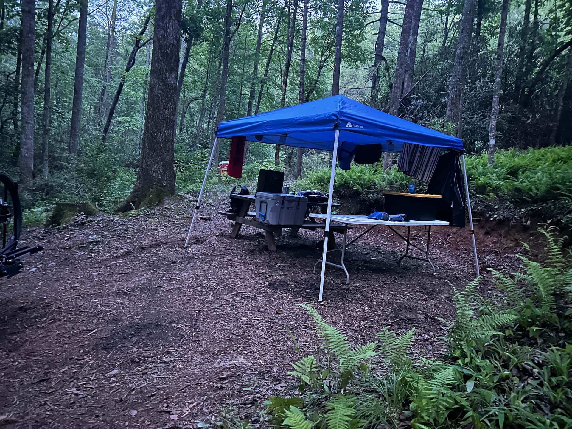 Picture of the site