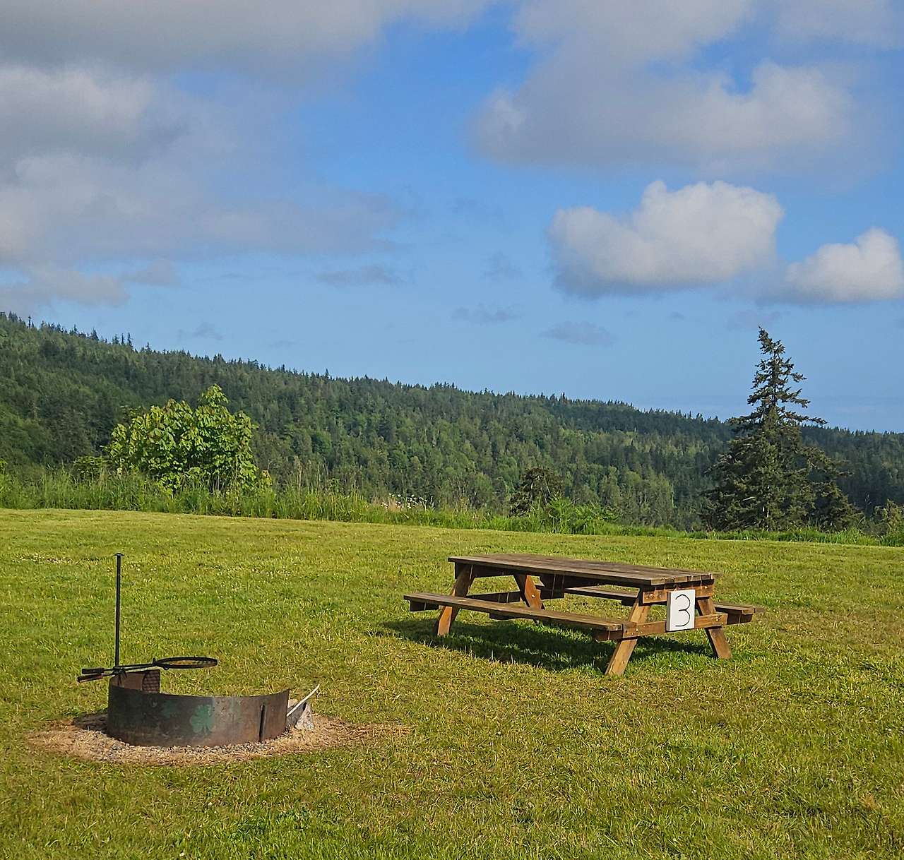 Picture of the site