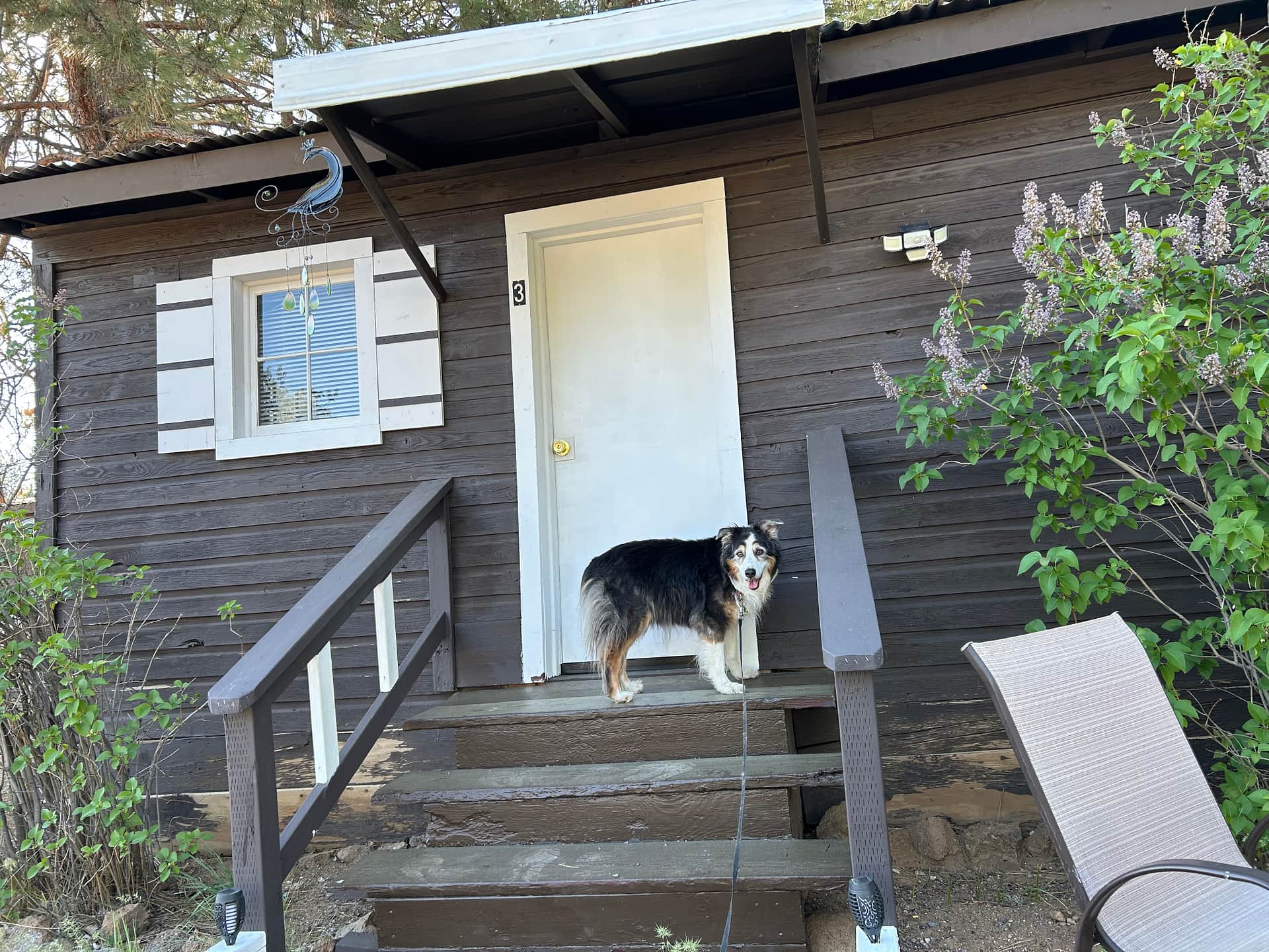 Hawk's Nest RV & Cabin Park