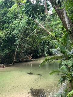 Paradise Camps