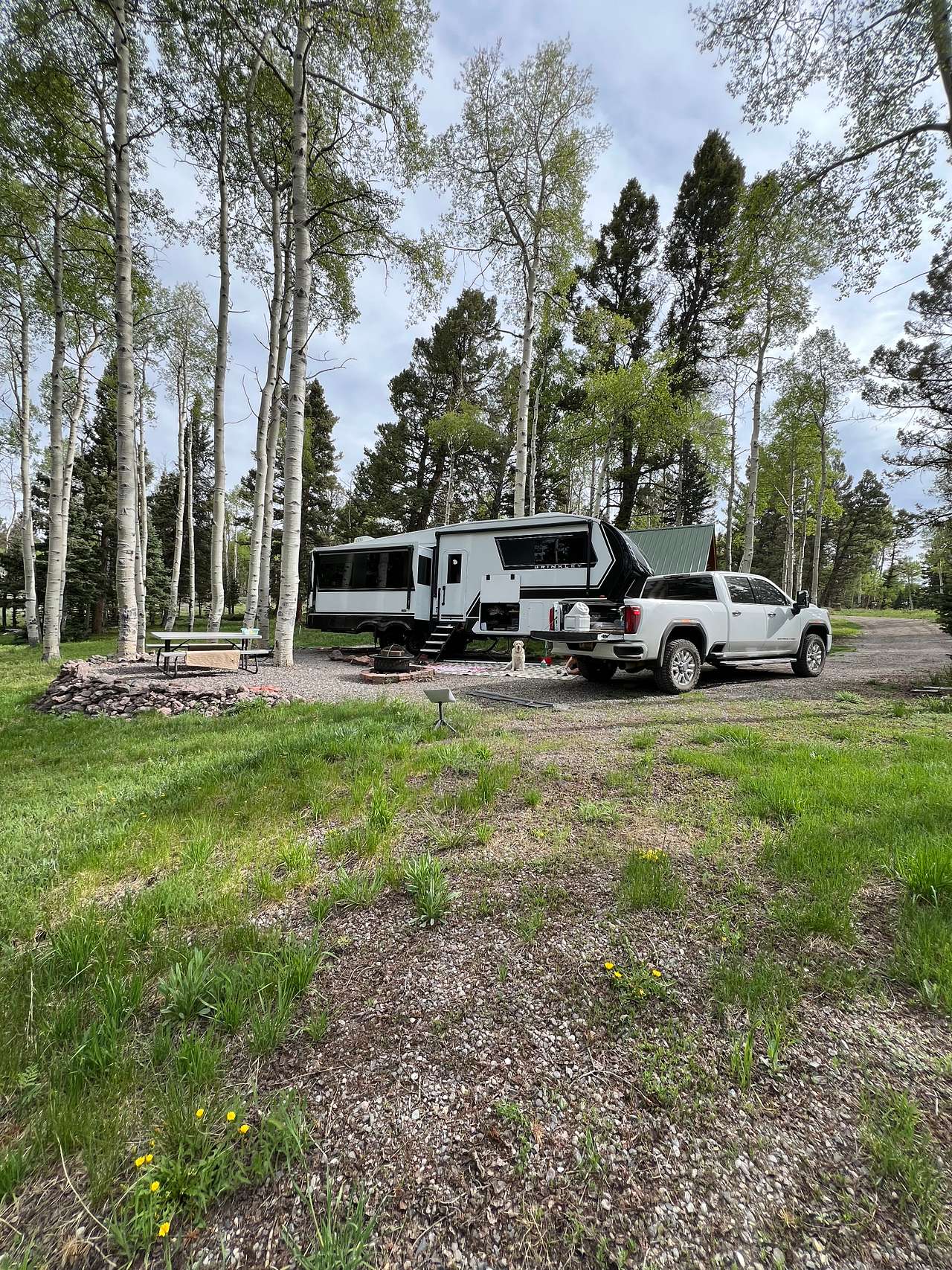 Picture of the site