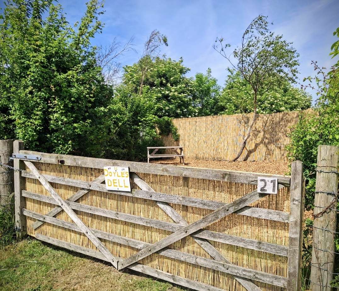 Picture of the site
