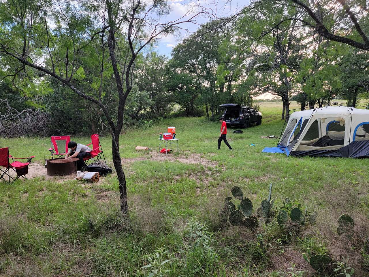Picture of the site