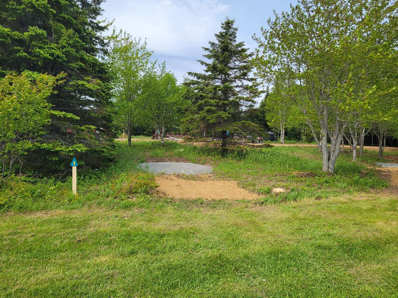Picture of the site