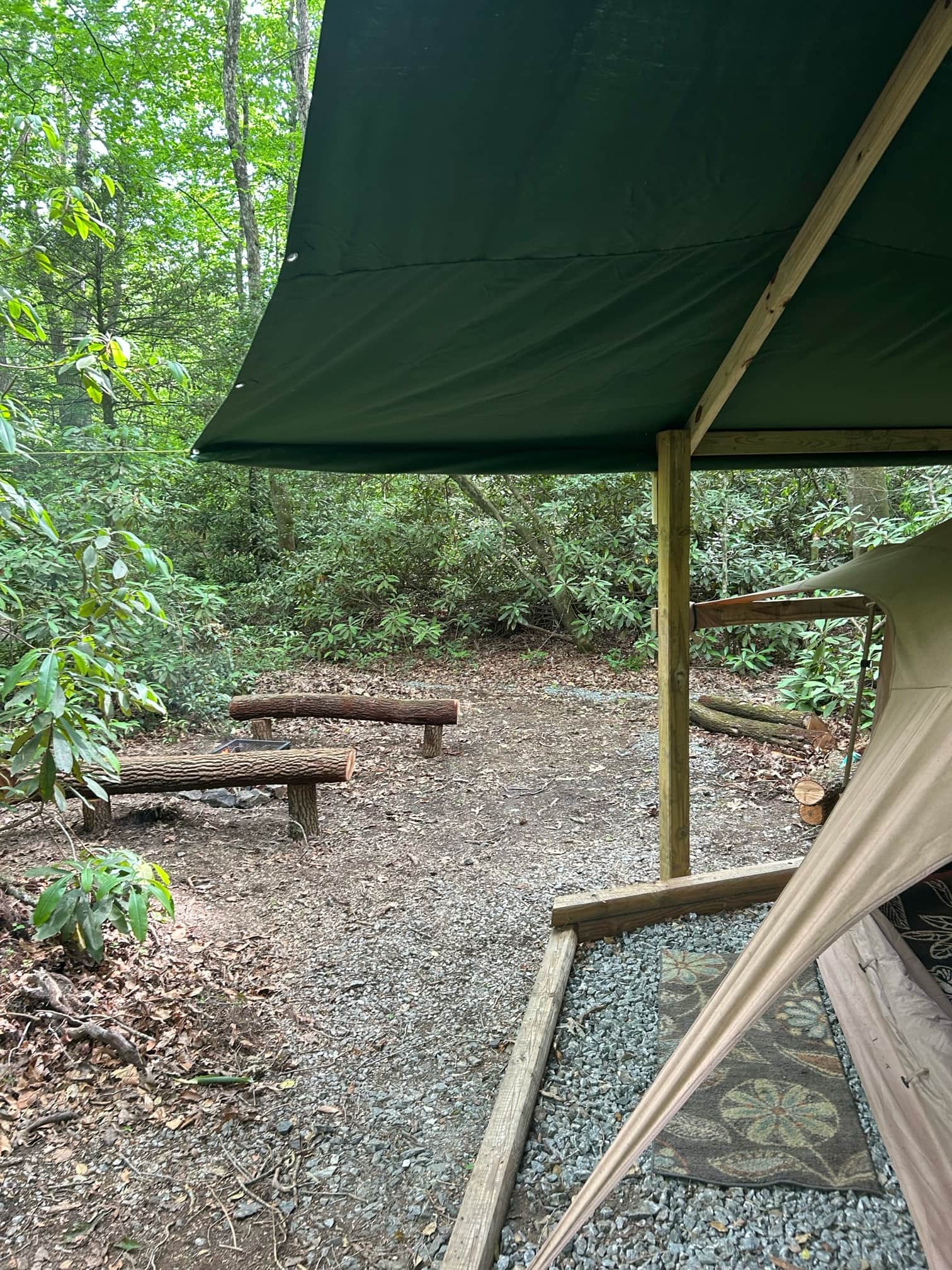 Picture of the site
