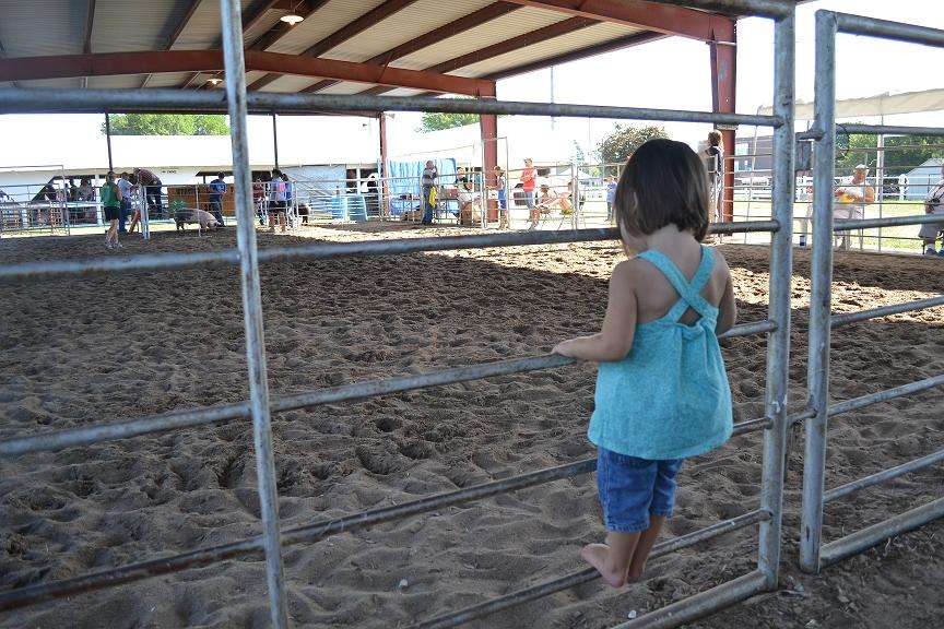 Webster County Fairgrounds