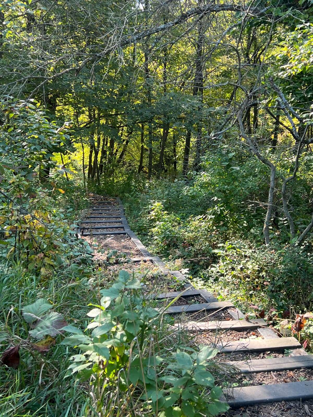 Coopers Cove Park