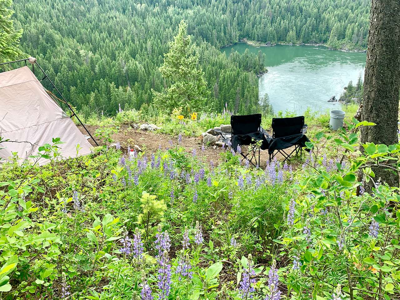 Picture of the site