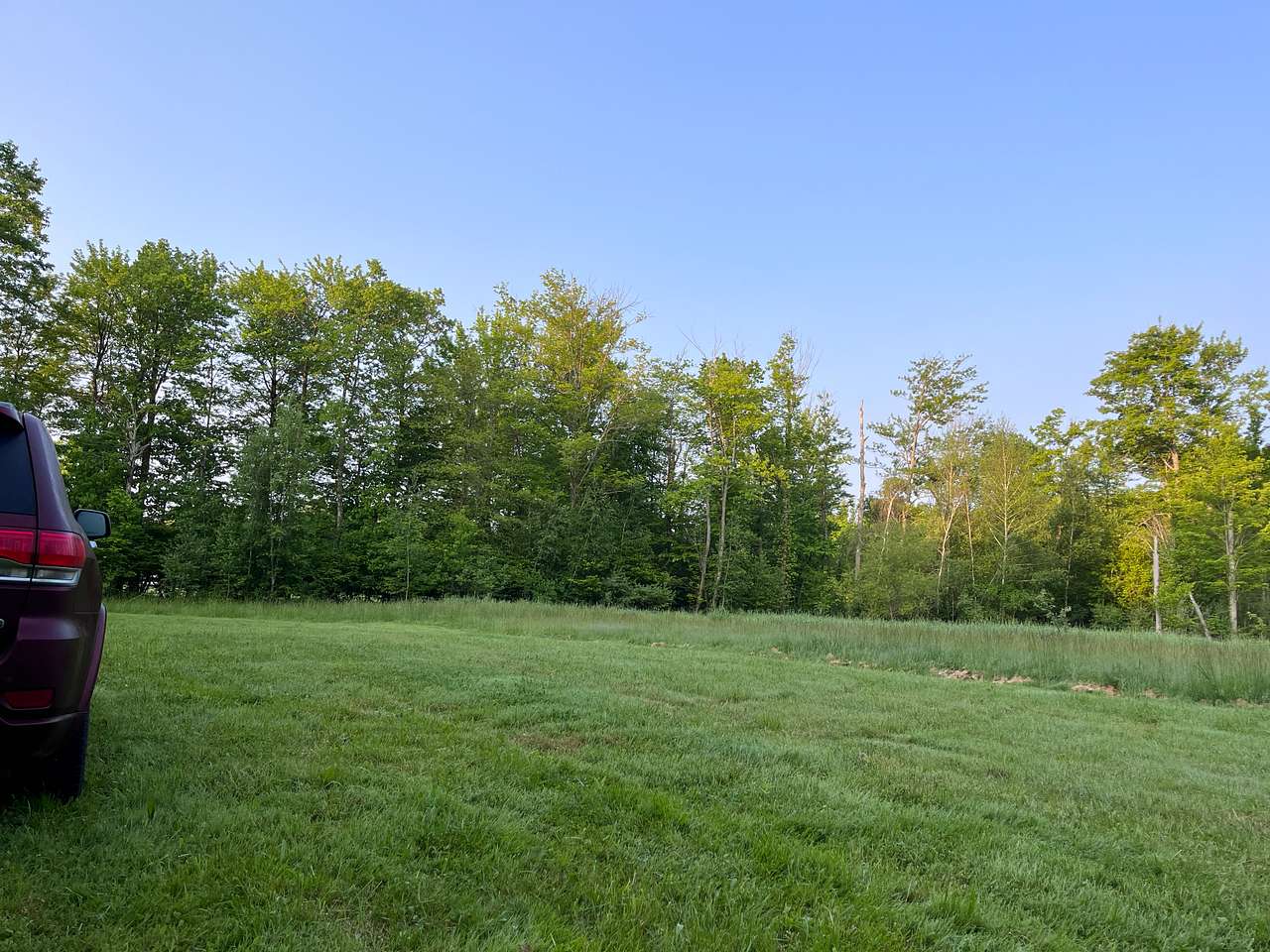 Nice clearing to set up your rig - deer passed through the property that very evening!