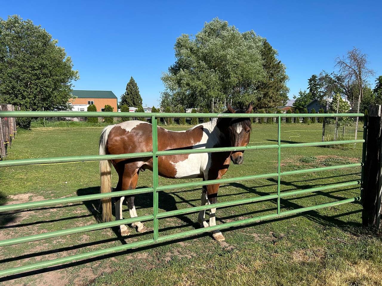 Triple H Mini Ranch