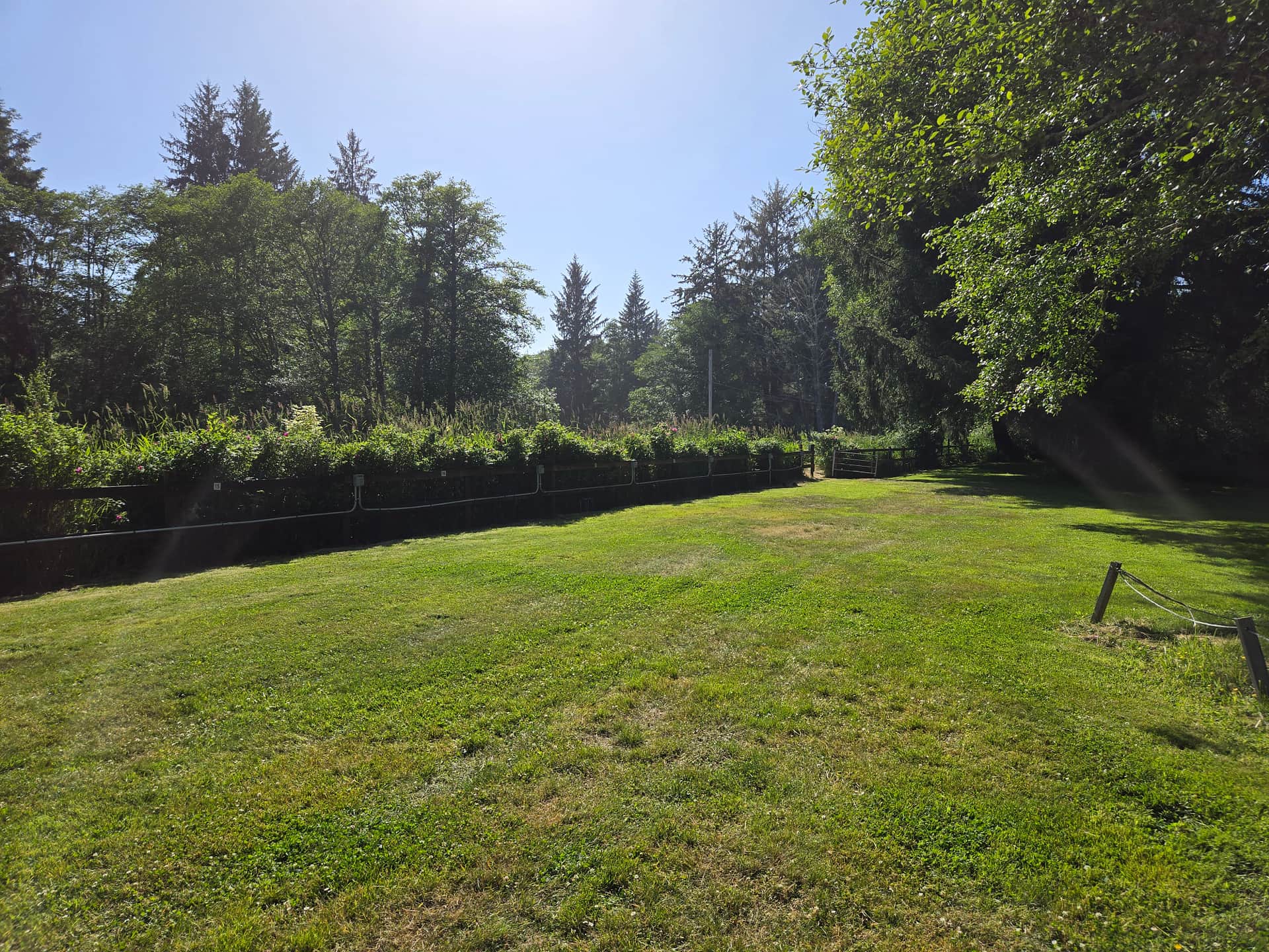 Williams Park campground