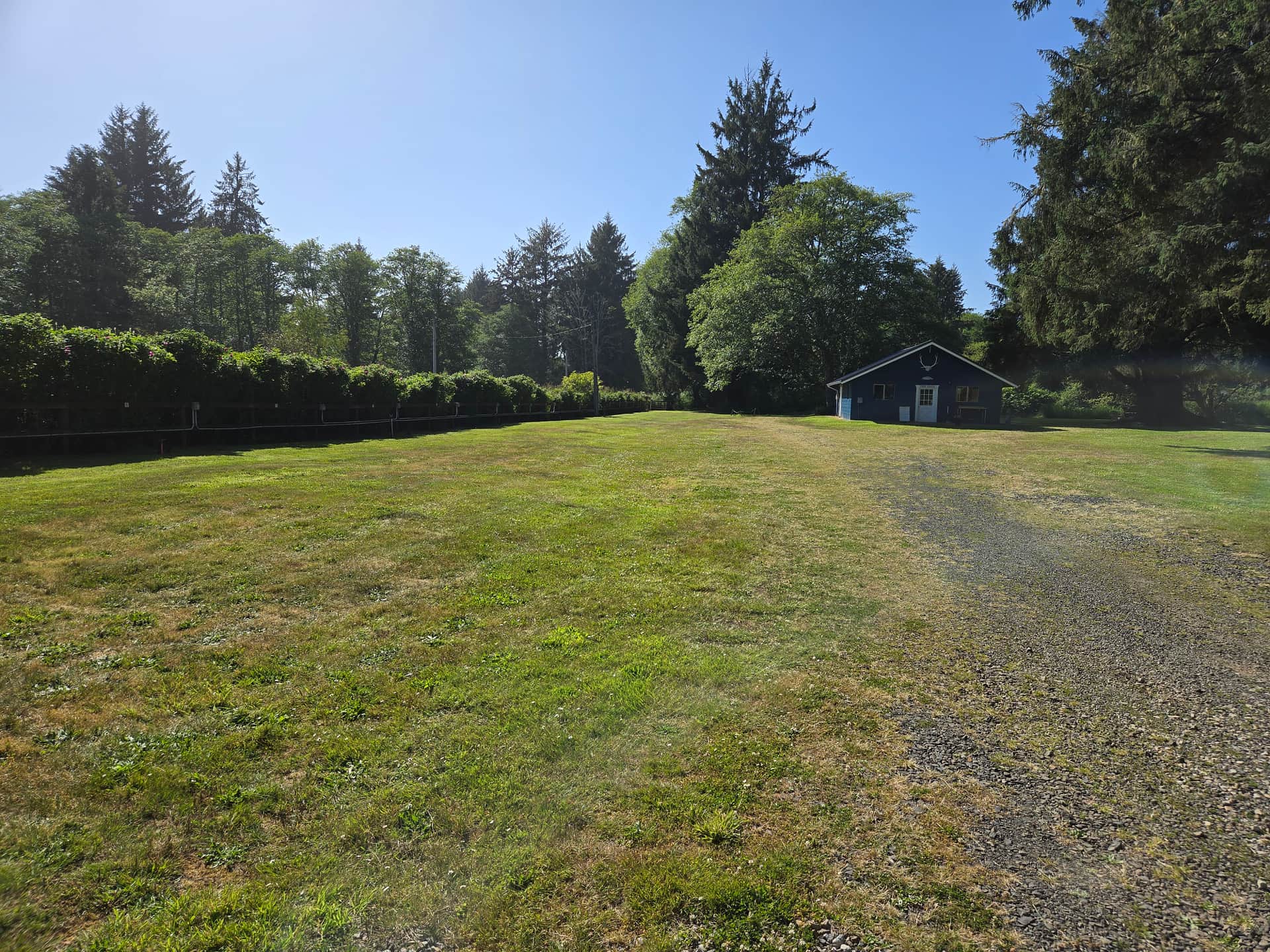 Williams Park campground