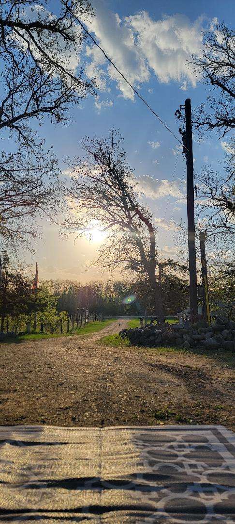 Secluded Oakwood Haven