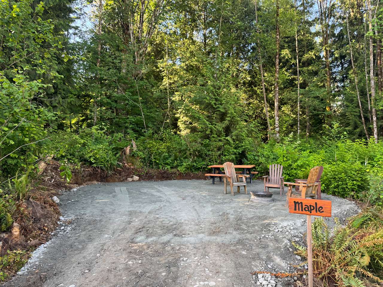 Picture of the site
