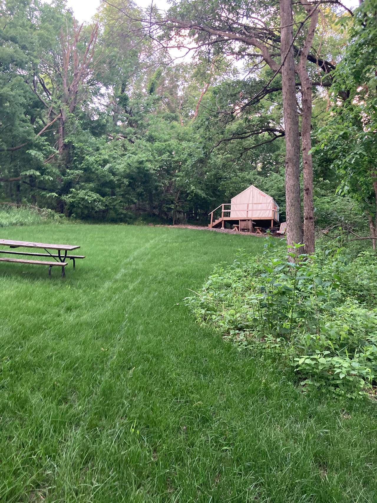 A neighboring tent. Hawthorn has the primo multi-level deck, though. 