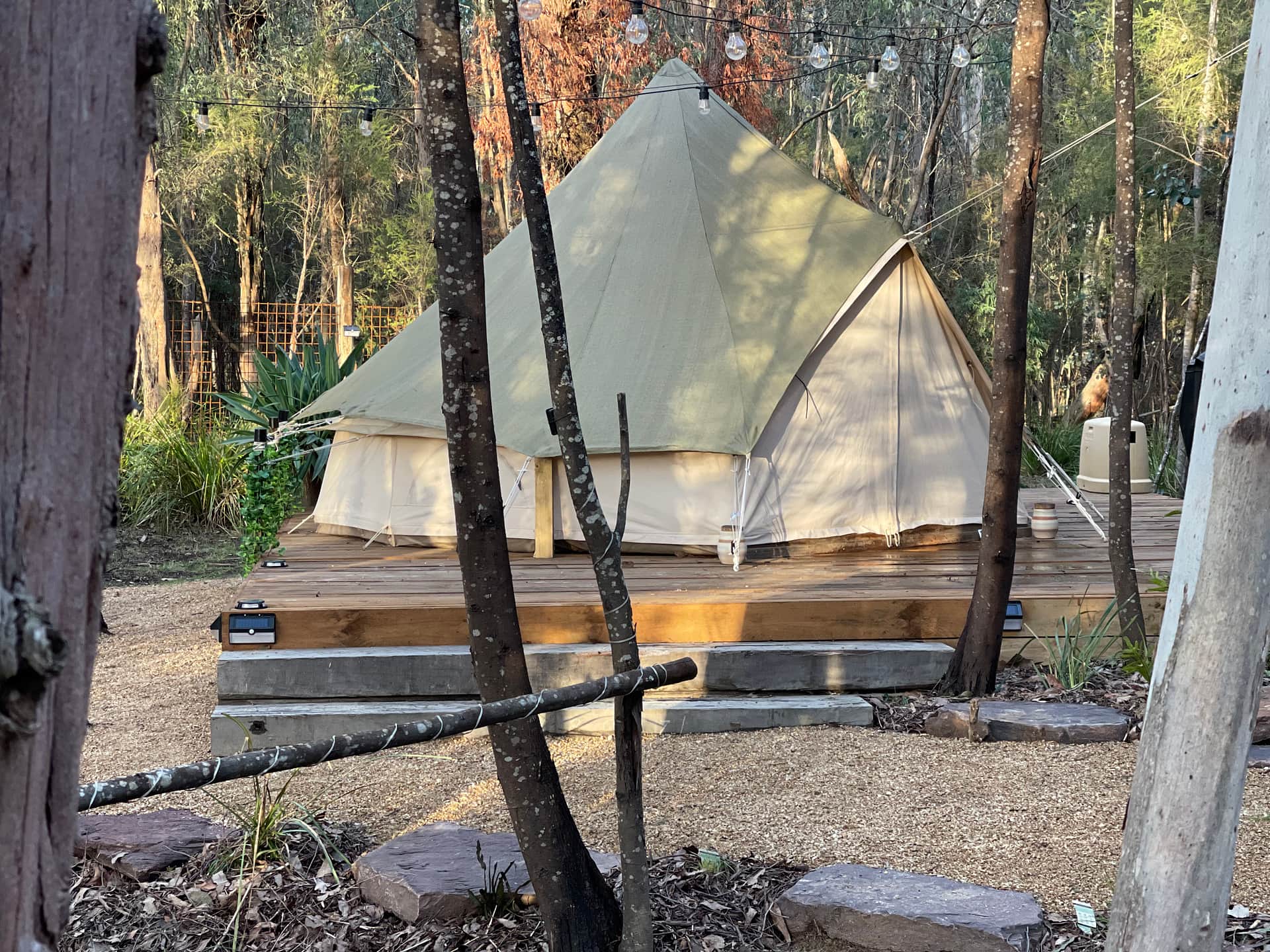 Picture of the site