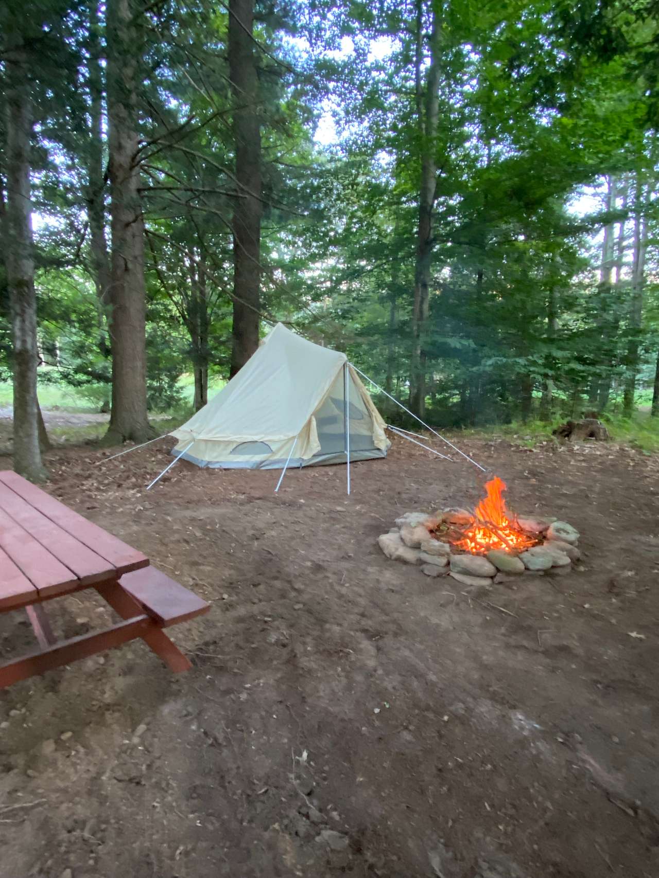 Elk Creek Escape/Sawmill Woodzie