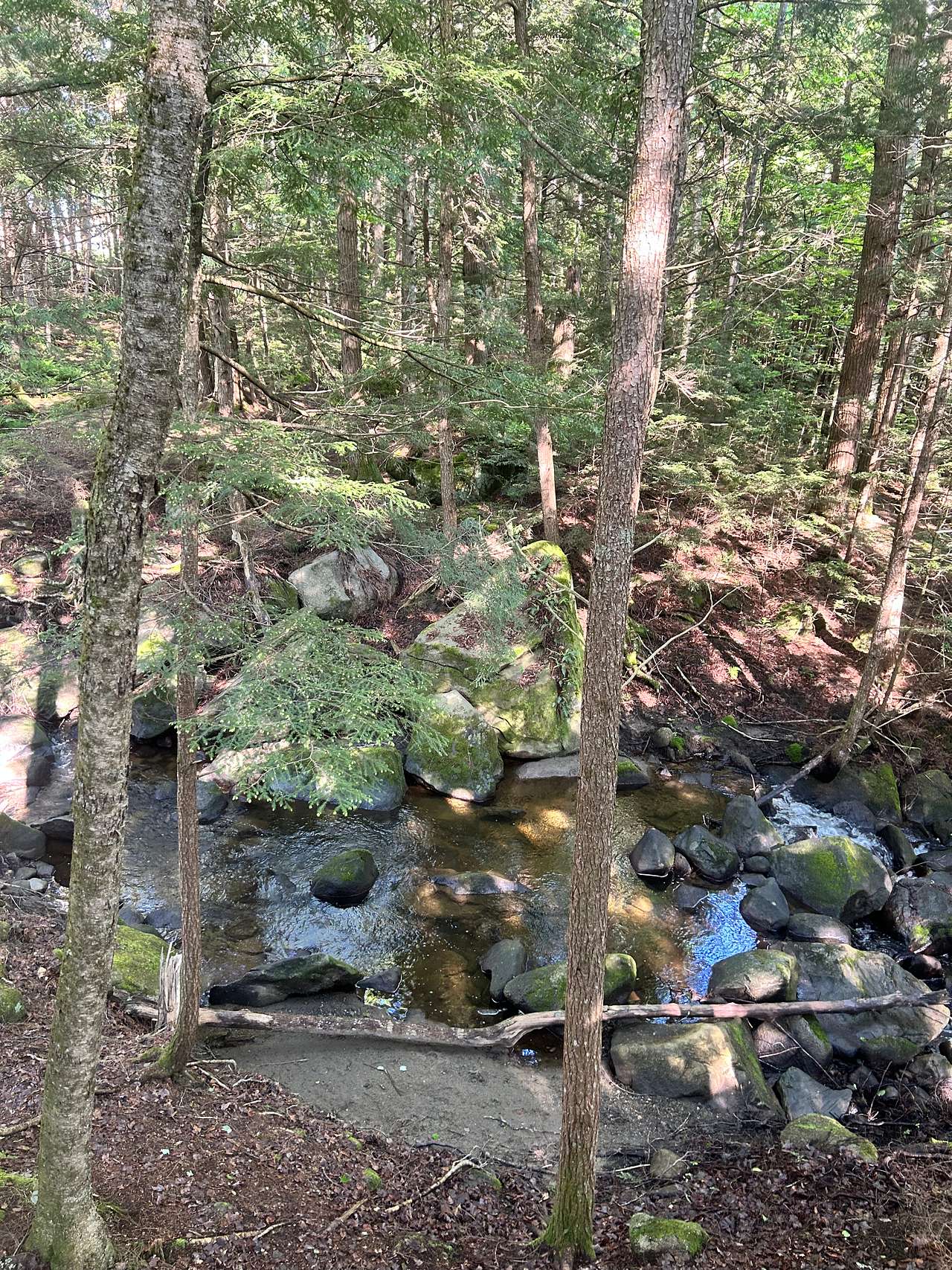 Stone City Treehouse & Glamping