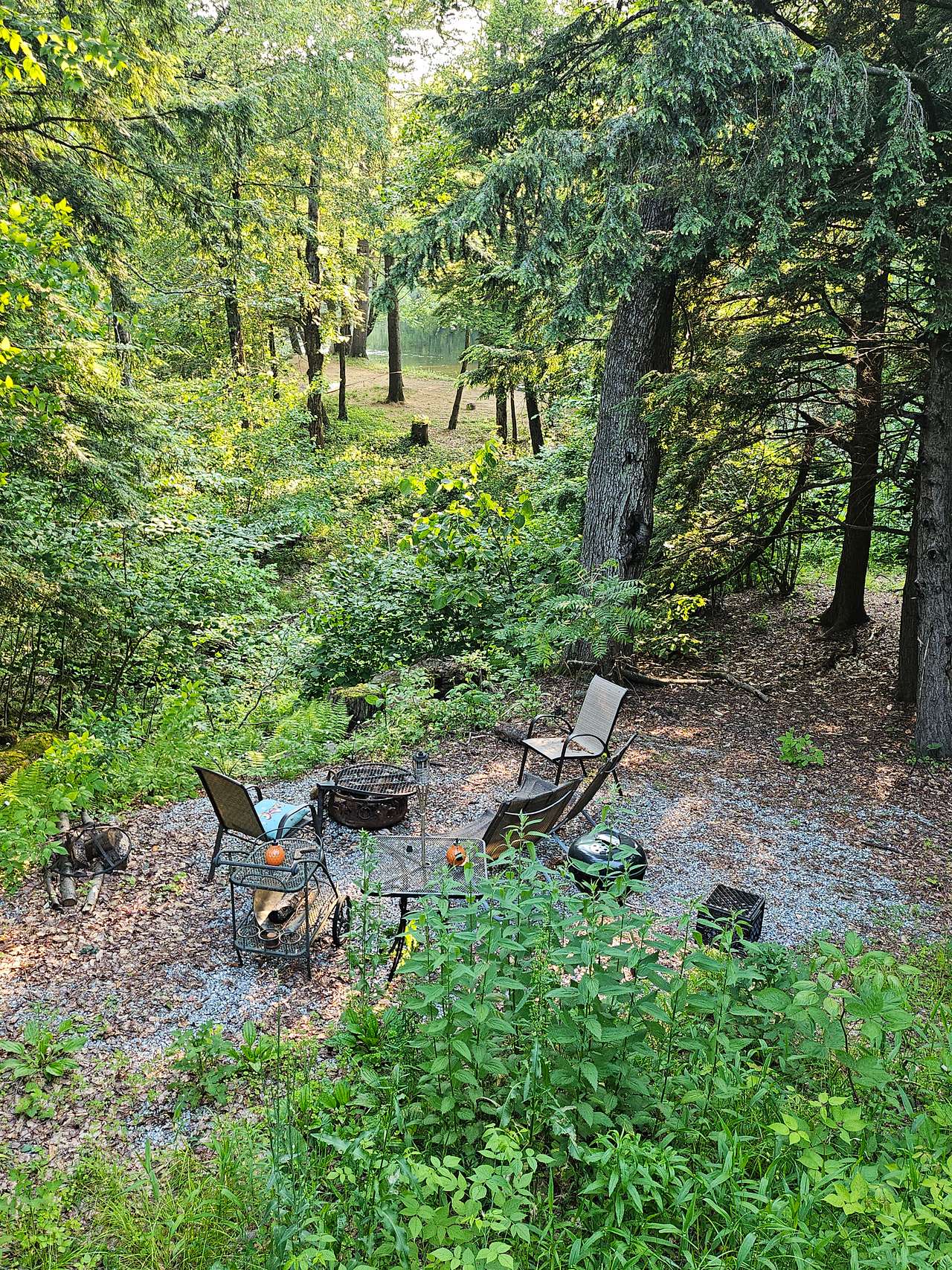 Picture of the site