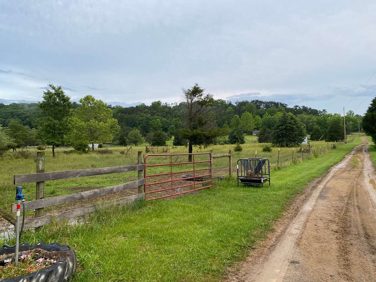 Carp Cove Farm