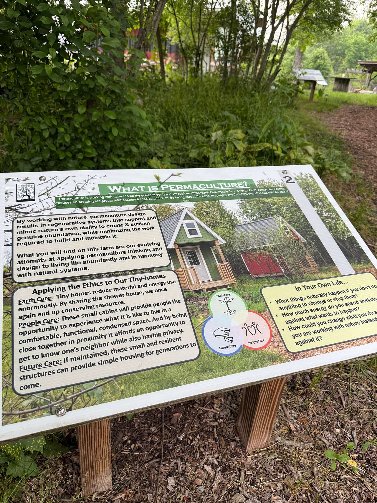Picture of the site