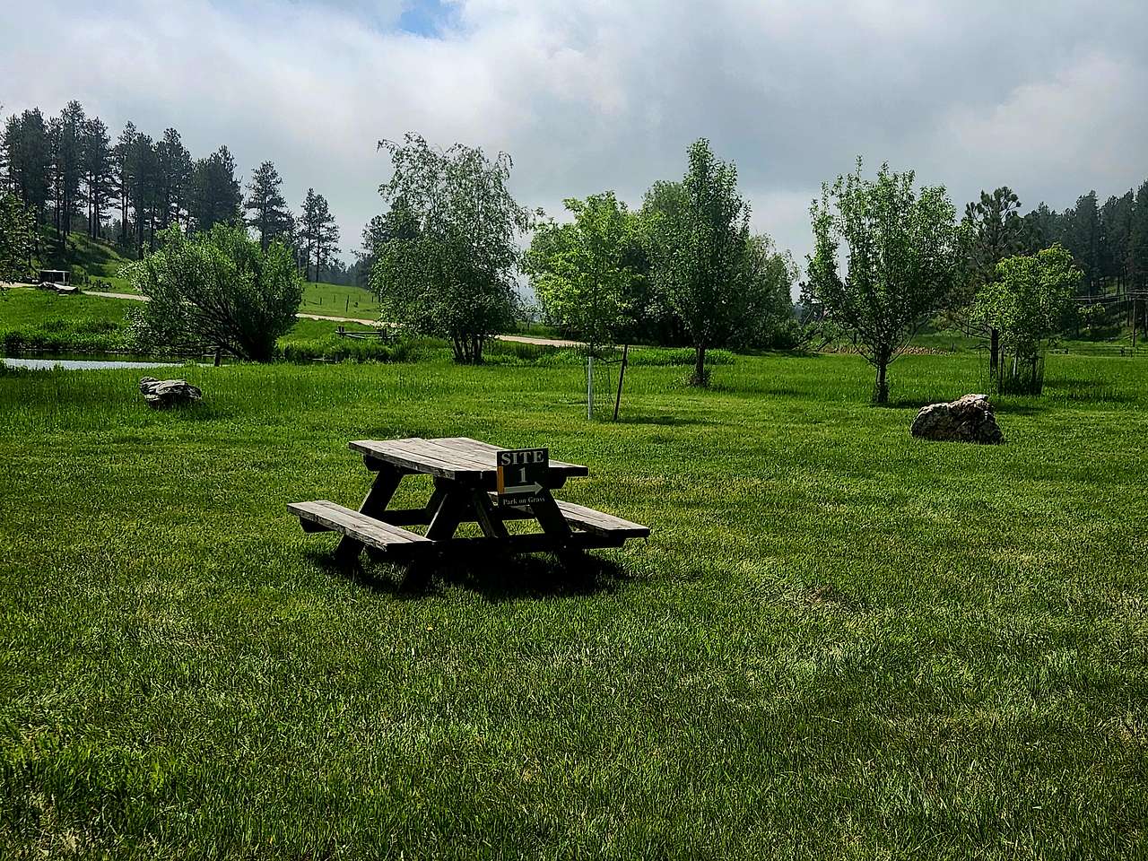 Picture of the site