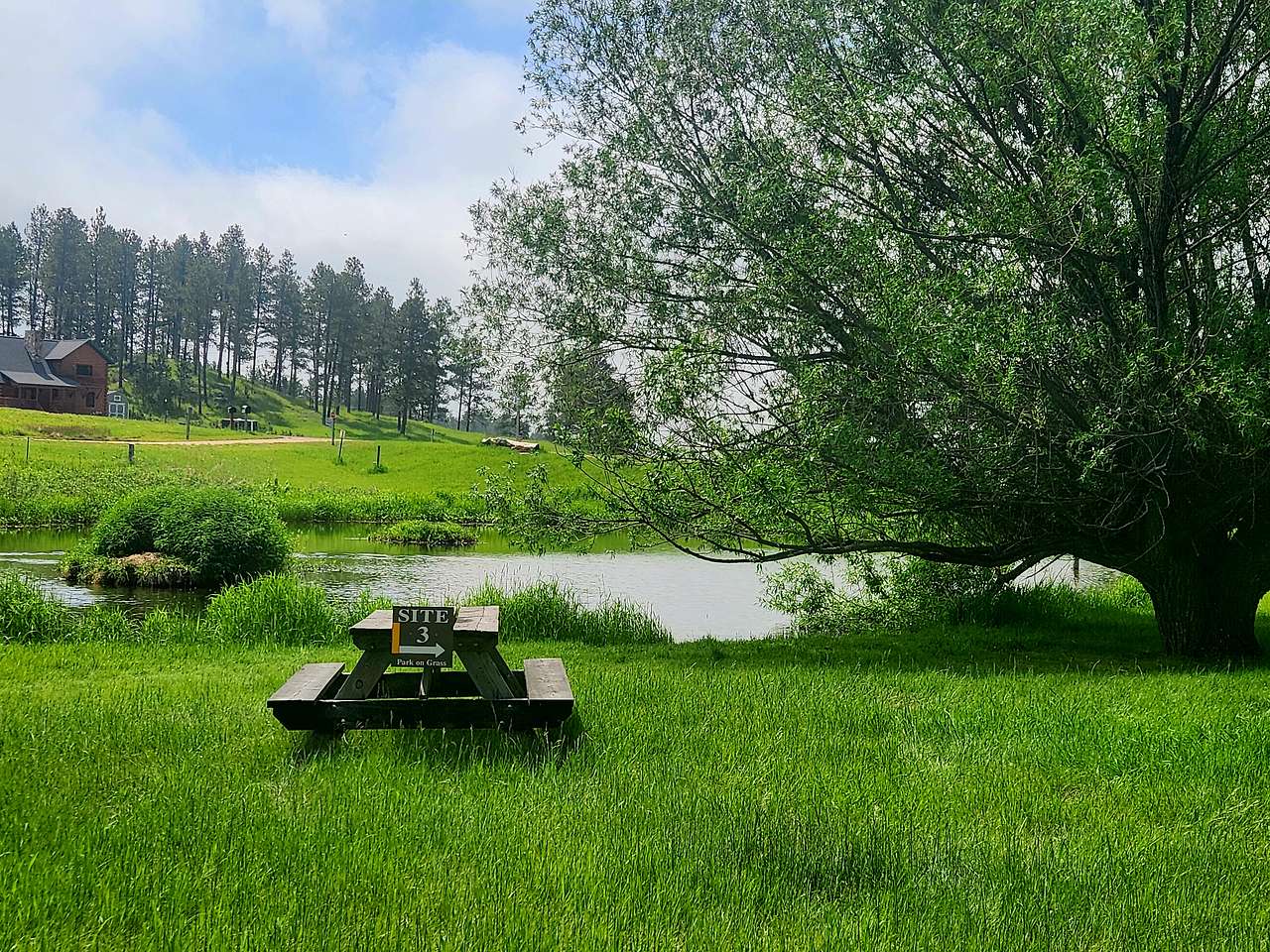 Picture of the site
