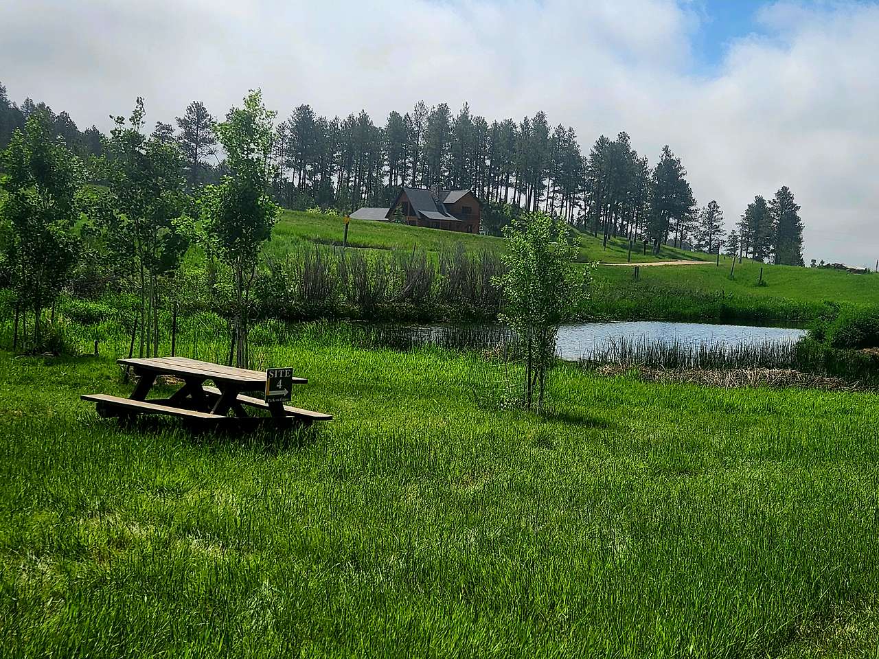 Picture of the site