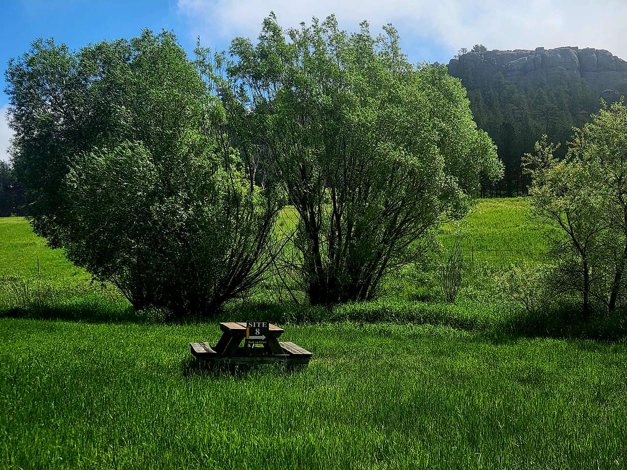 Picture of the site
