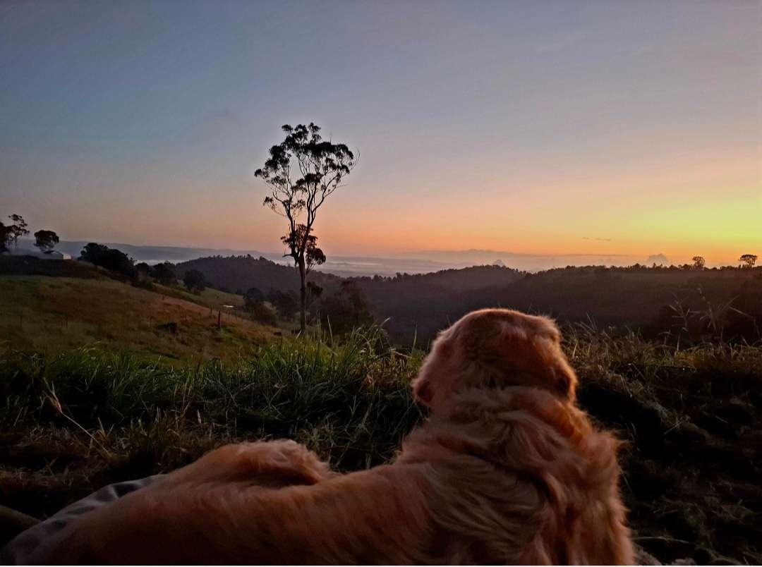 Coorie Vale