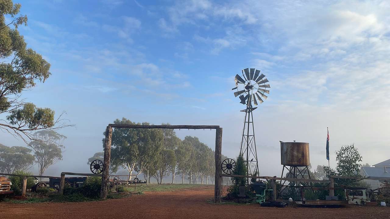 Picture of the site