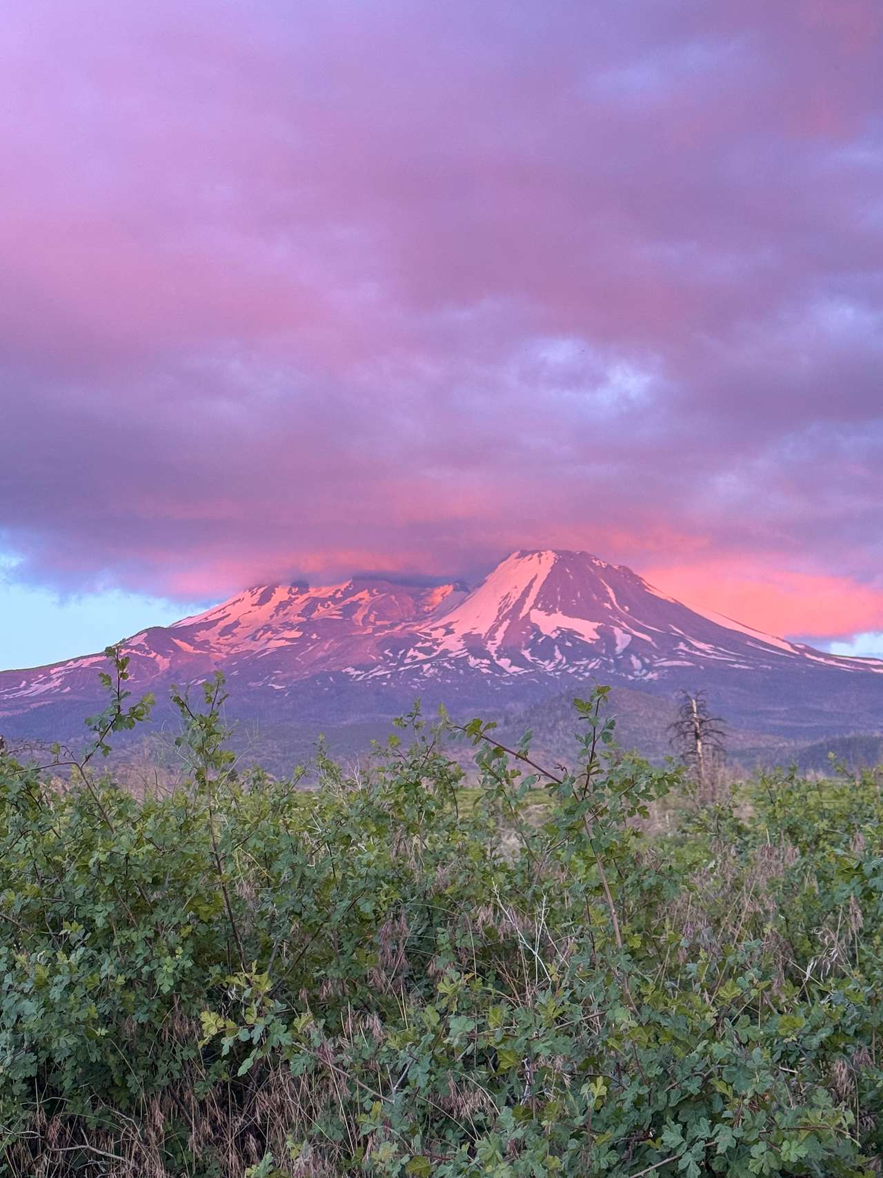 Juniper Valley Campsites