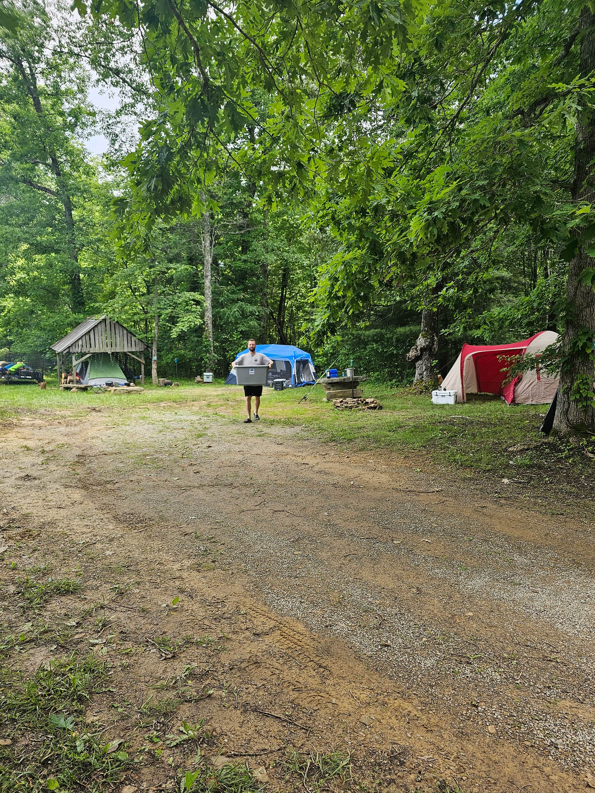 Picture of the site