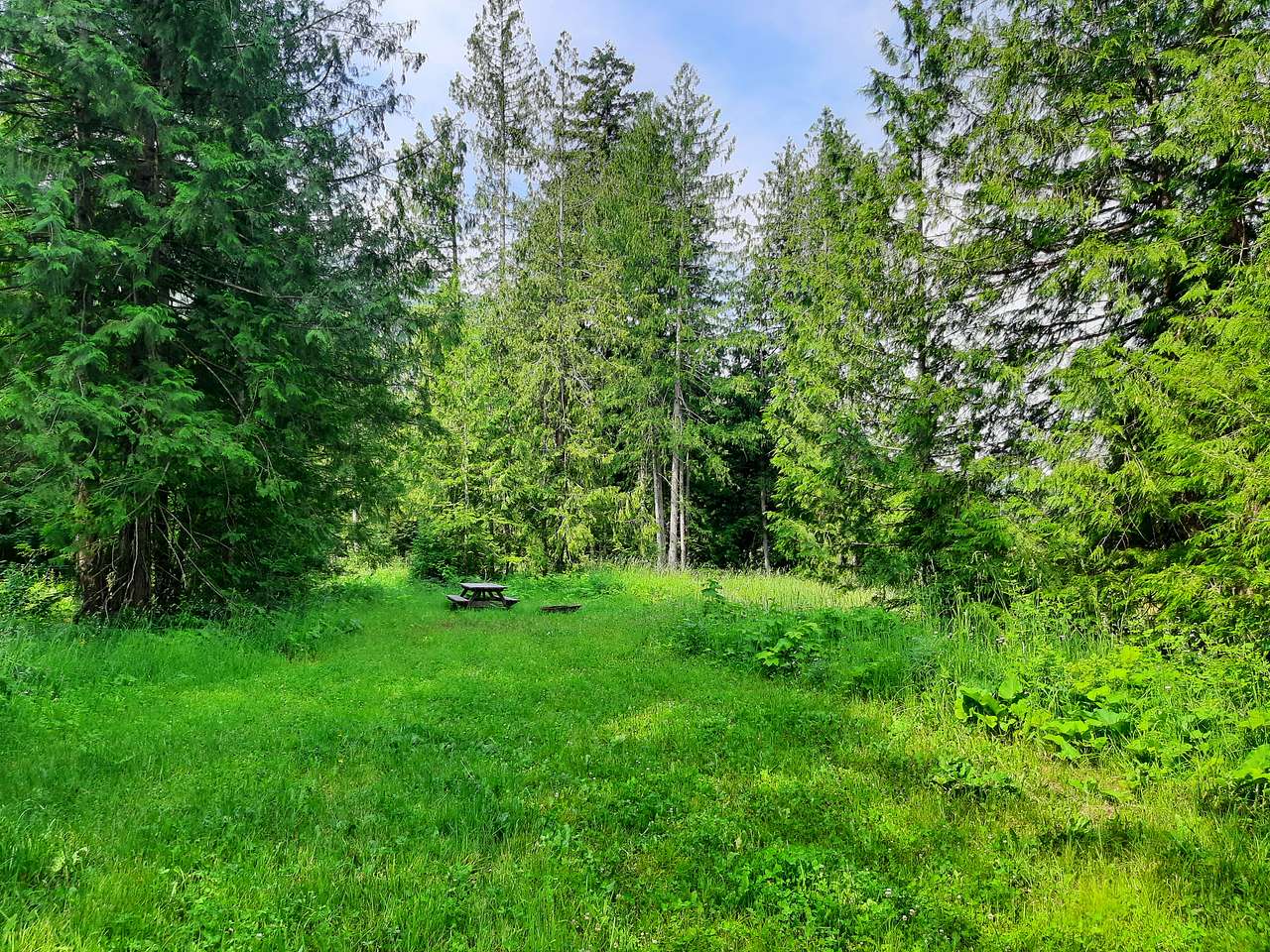Olich Creek Farm