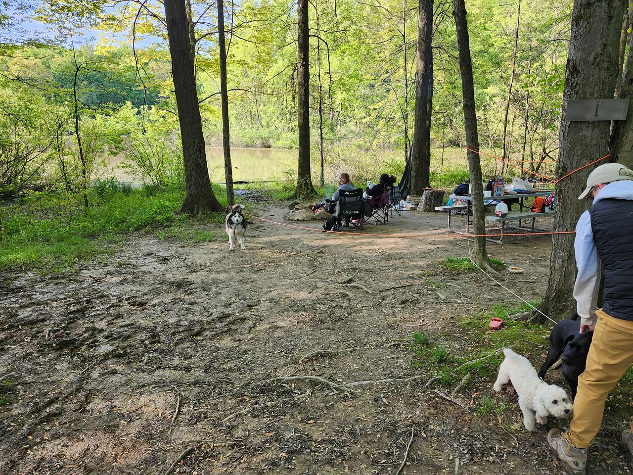 Picture of the site