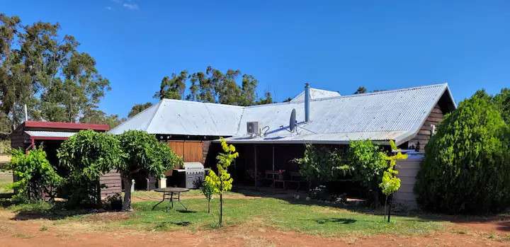 Katrine Steading