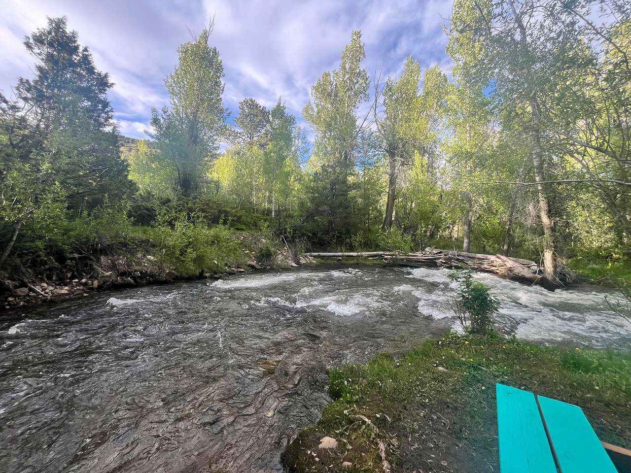 Picture of the site