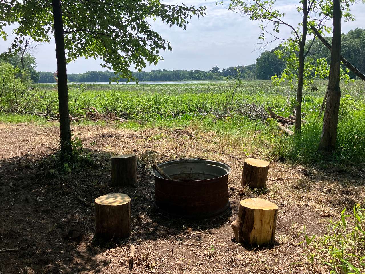 Picture of the site
