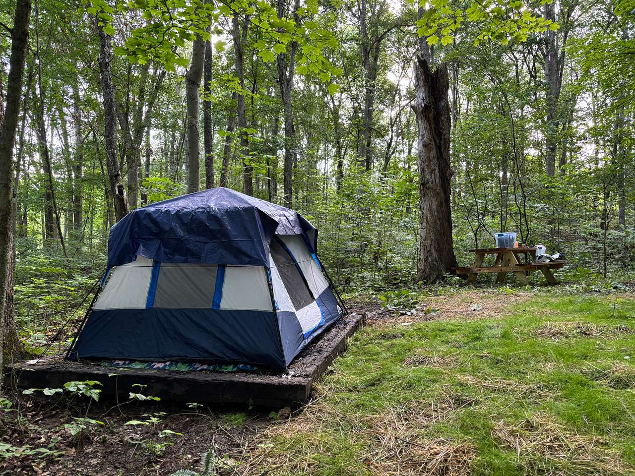 Picture of the site